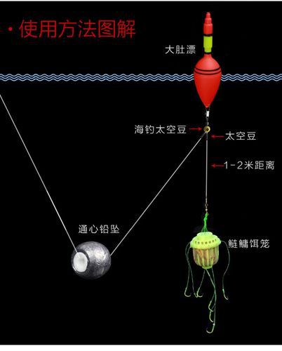 如何组装鳙鲢钓组