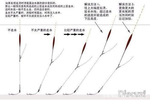 长江涨水钓鱼技巧