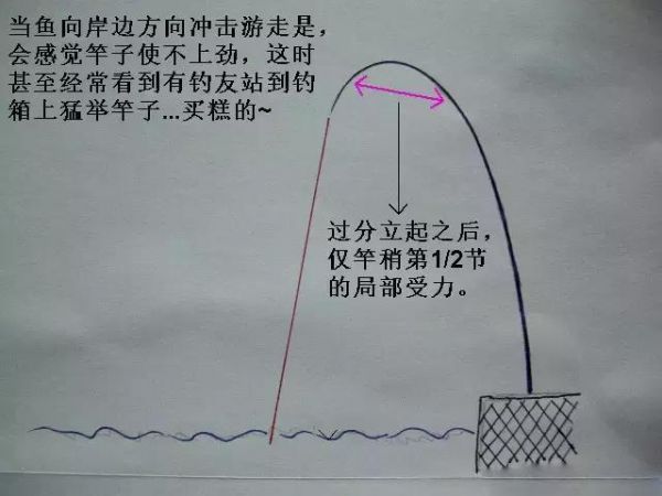 手杆钓鱼溜鱼技巧视频