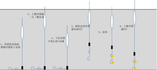 钓青鱼的漂怎么调