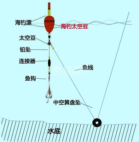 鲢鳙钓组安装方法图