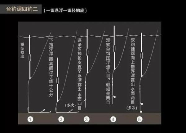 钓鱼技巧技术教学精选