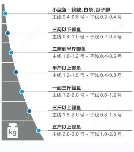 子线和鱼钩的搭配图表