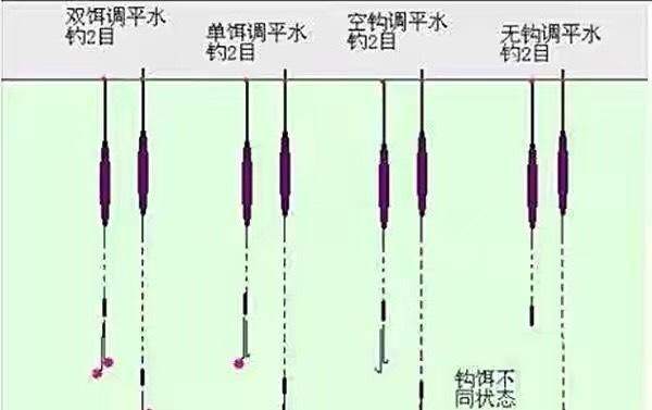 初冬野夜钓技巧