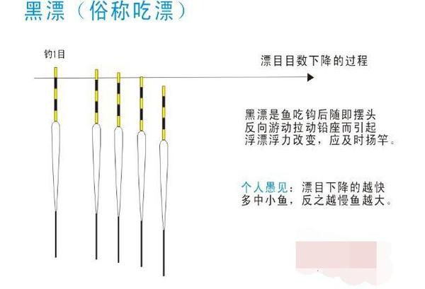 钓鱼技巧讲解完整版