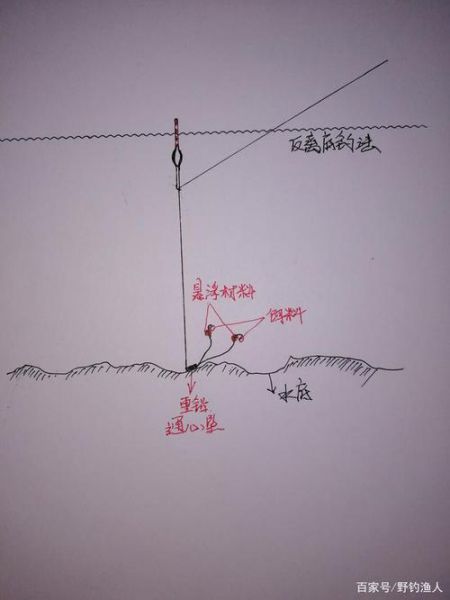 鲢鳙底钓法图片