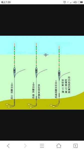 营口森林公园技巧钓鱼