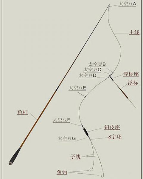 两三斤的鱼用什么线组