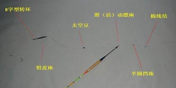 冬天 长江 钓鱼技巧