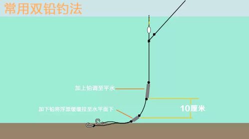 潇洒哥钓鱼技巧普及