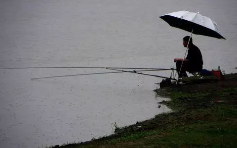 肥水鱼塘下雨天钓鱼技巧