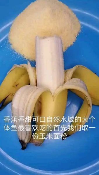 香蕉加饵料钓鱼技巧