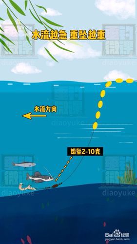 流水半水钓鱼技巧视频