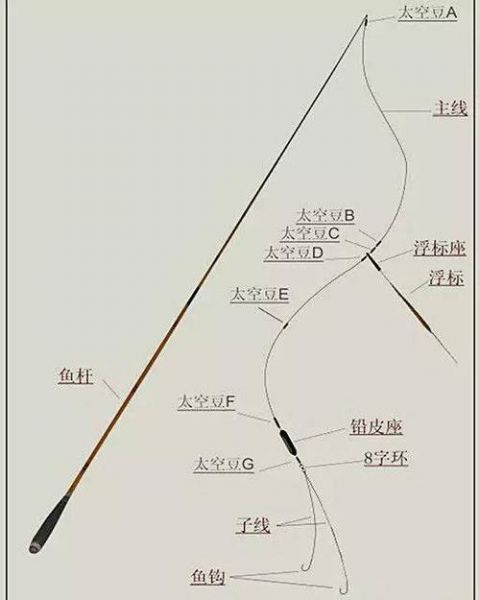 临冰钓鱼2技巧