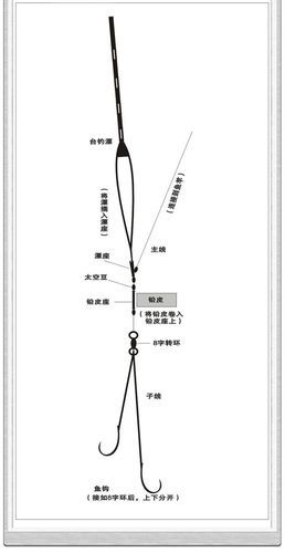 台竿钓完鱼怎么收线