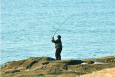 夏季海边钓鱼技巧