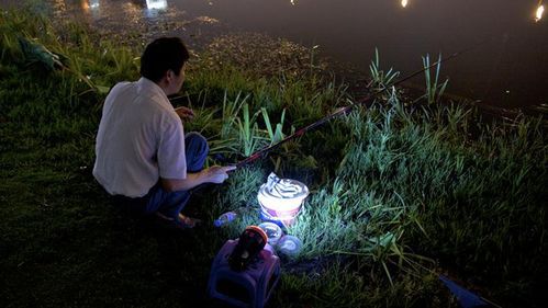 长江里夜晚钓鱼技巧