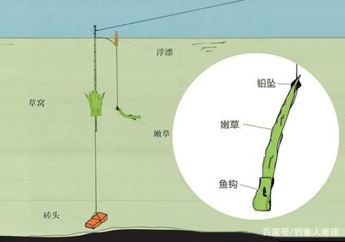 水草里钓鱼技巧