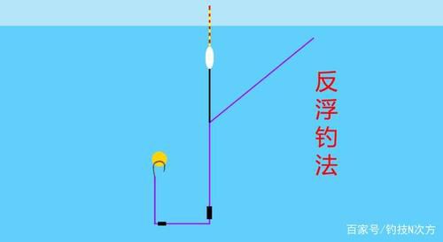 钓鱼知识技巧老曹视频