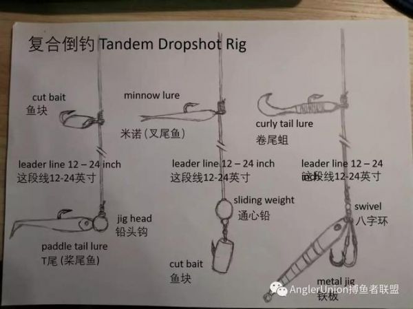 冬季海边礁石钓鱼技巧