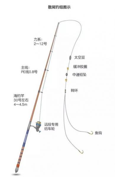 50斤鱼用什么线组