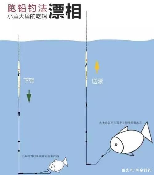 江河夏季阴天钓鱼技巧