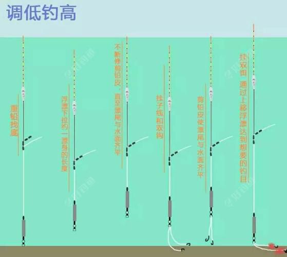 漂目数多是调钝吗