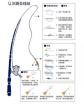 钓翘嘴鱼怎样绑线组