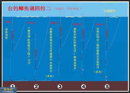 5目亮的夜光漂怎么调