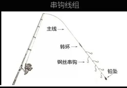 钓鱼技巧教学 国际钓法