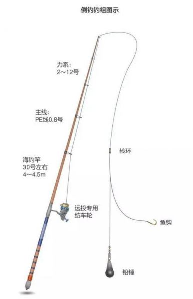 8斤的鱼用什么线组