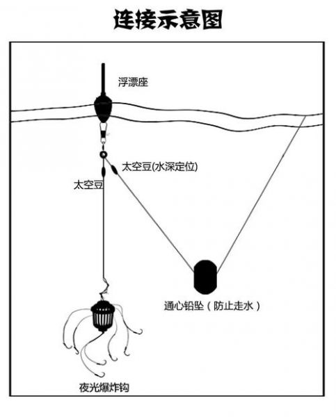 爆炸钩线组钓什么鱼