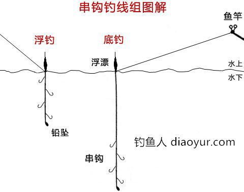 鱼腥草钓鱼技巧