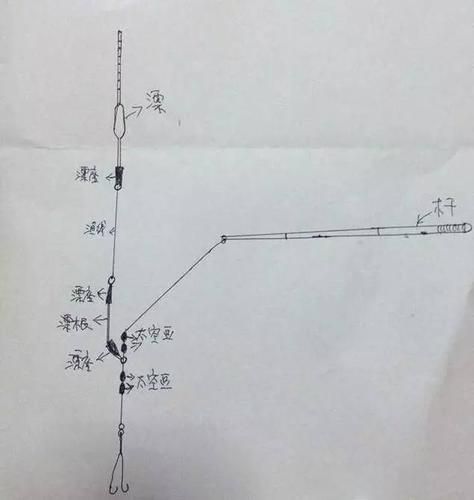 钓鱼黑坑选位技巧