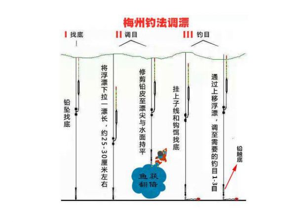 晴天下午钓鱼技巧