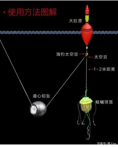 如何钓用手竿鲢鳙