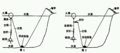 鲢鳙半水怎么钓