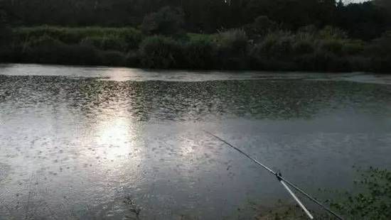 阴天晚上下雨钓鱼技巧