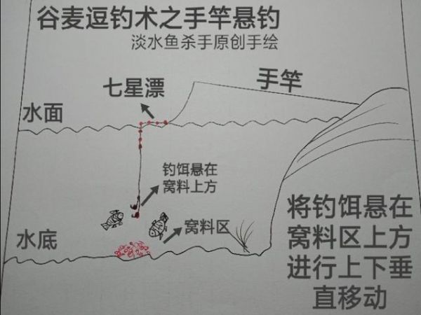 秋季麦粒钓鱼技巧