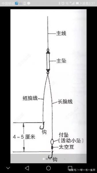 钓鱼方法与技巧单钩