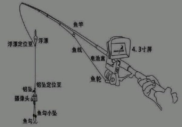 黑坑蹭线锚鱼钓法