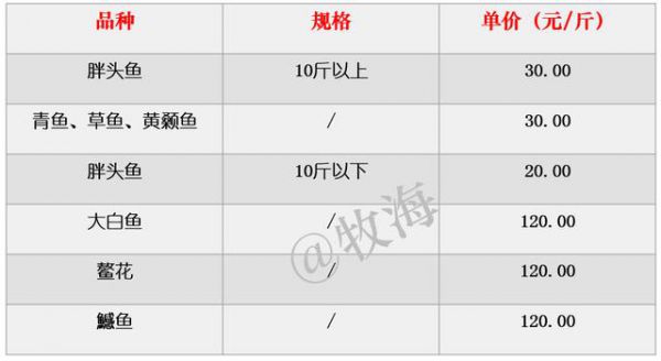 一线鱼价格是多少钱一斤