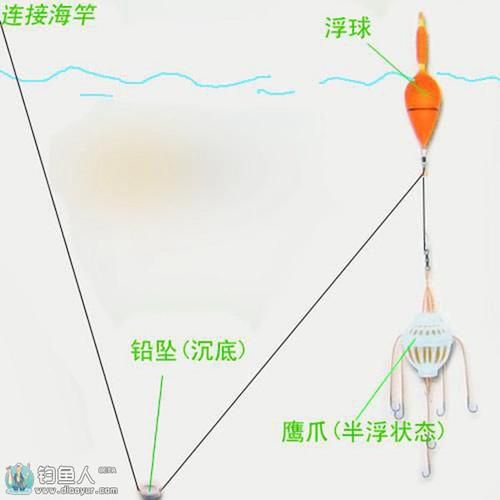 菜花钓鱼挂钩技巧