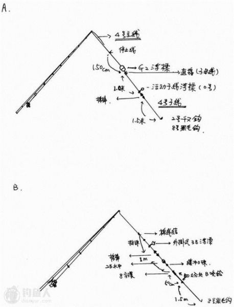 黑鲷钓鱼技巧大全