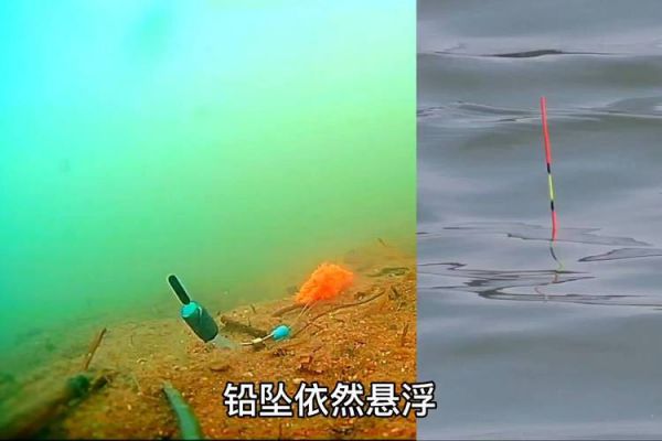 鱼钩没到底浮子还飘起