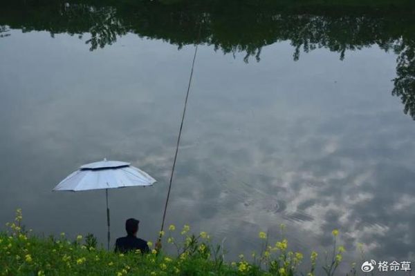 仲夏高温天气钓鱼技巧