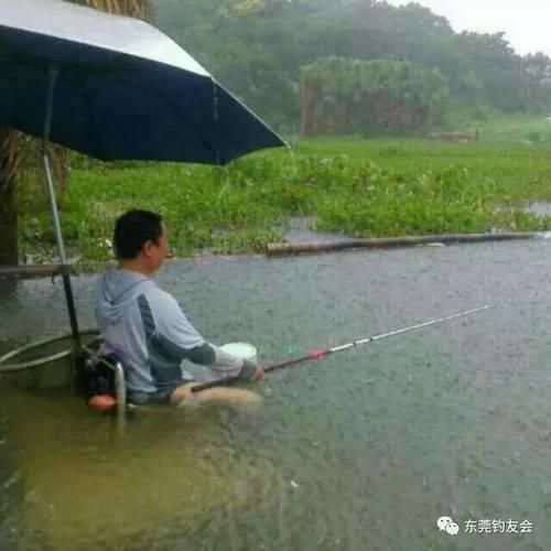 夏季下雨钓鱼技巧