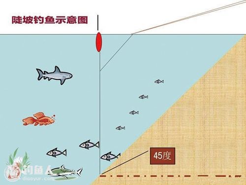 陡坡钓鱼技巧图解