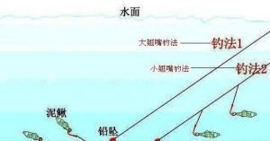 手杆泥鳅钓鱼技巧