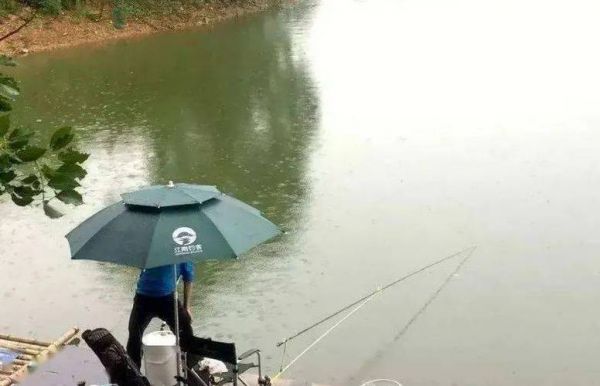 江边雨天钓鱼技巧